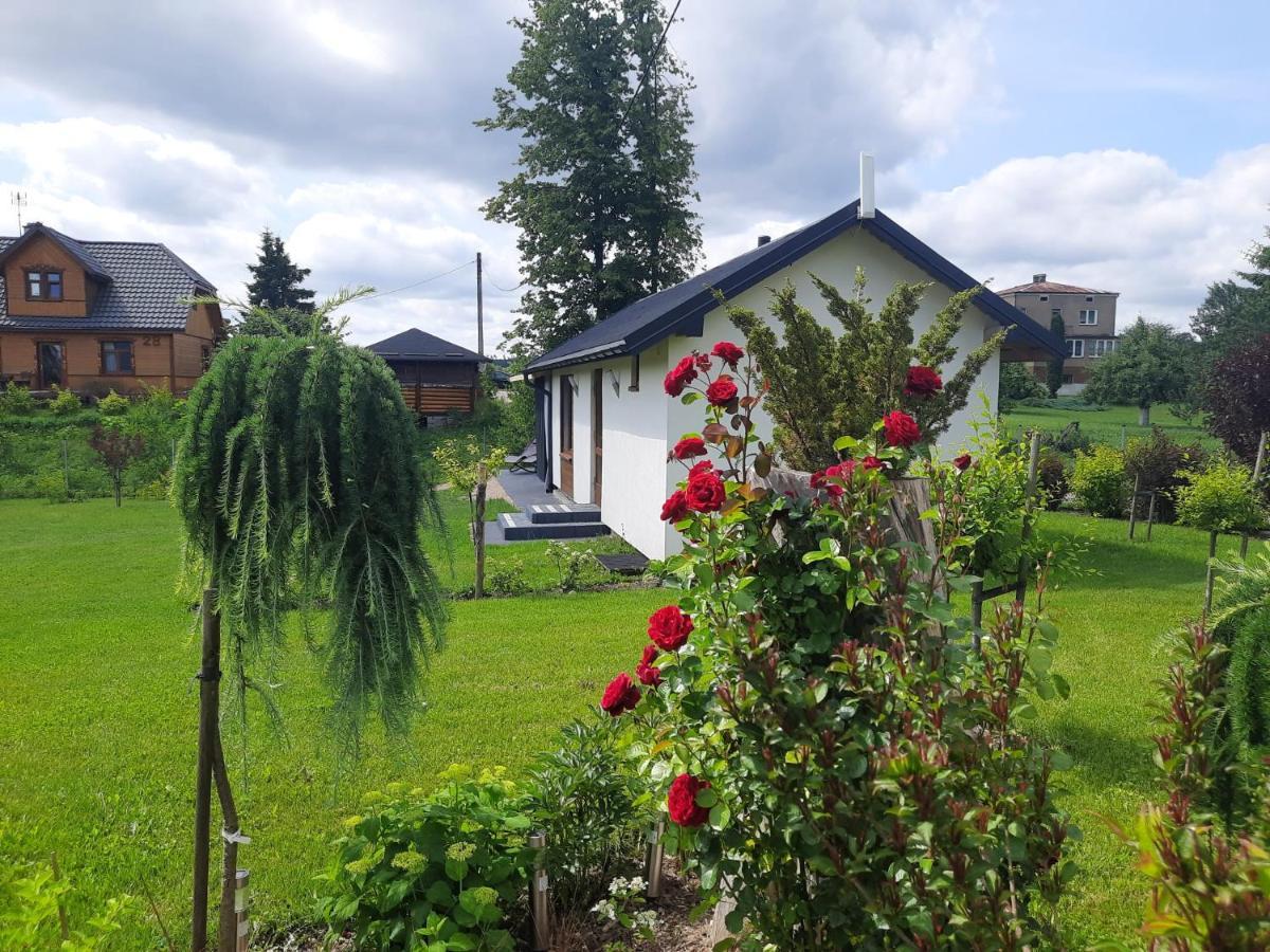 Wigry -domek Z Altana Na Wylacznosc Apartment *