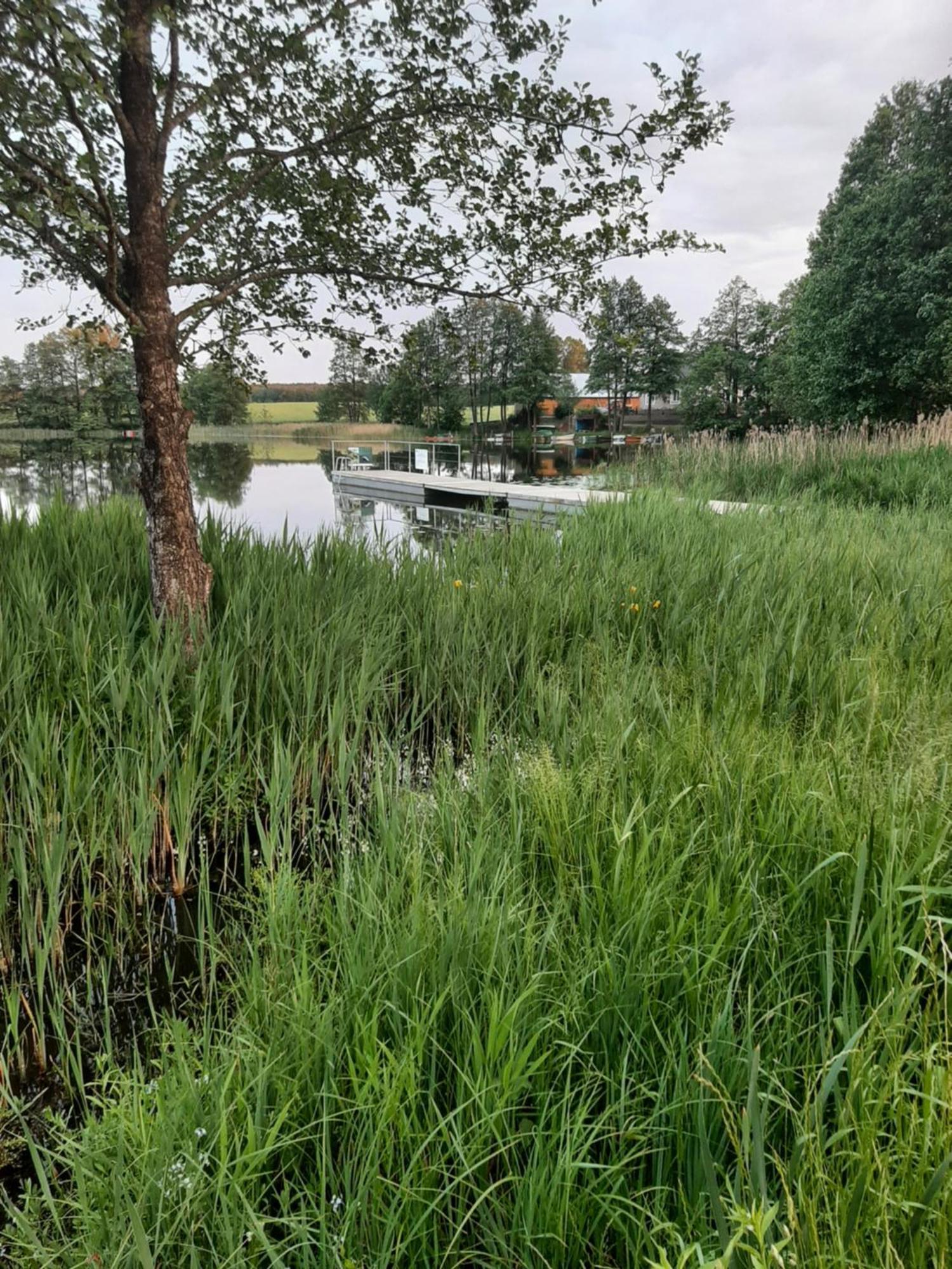 Wigry -domek Z Altana Na Wylacznosc *